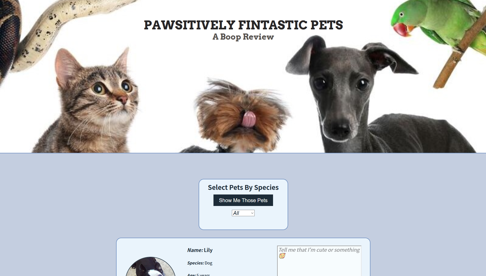 main page of the Pawsitively fintastic pet website